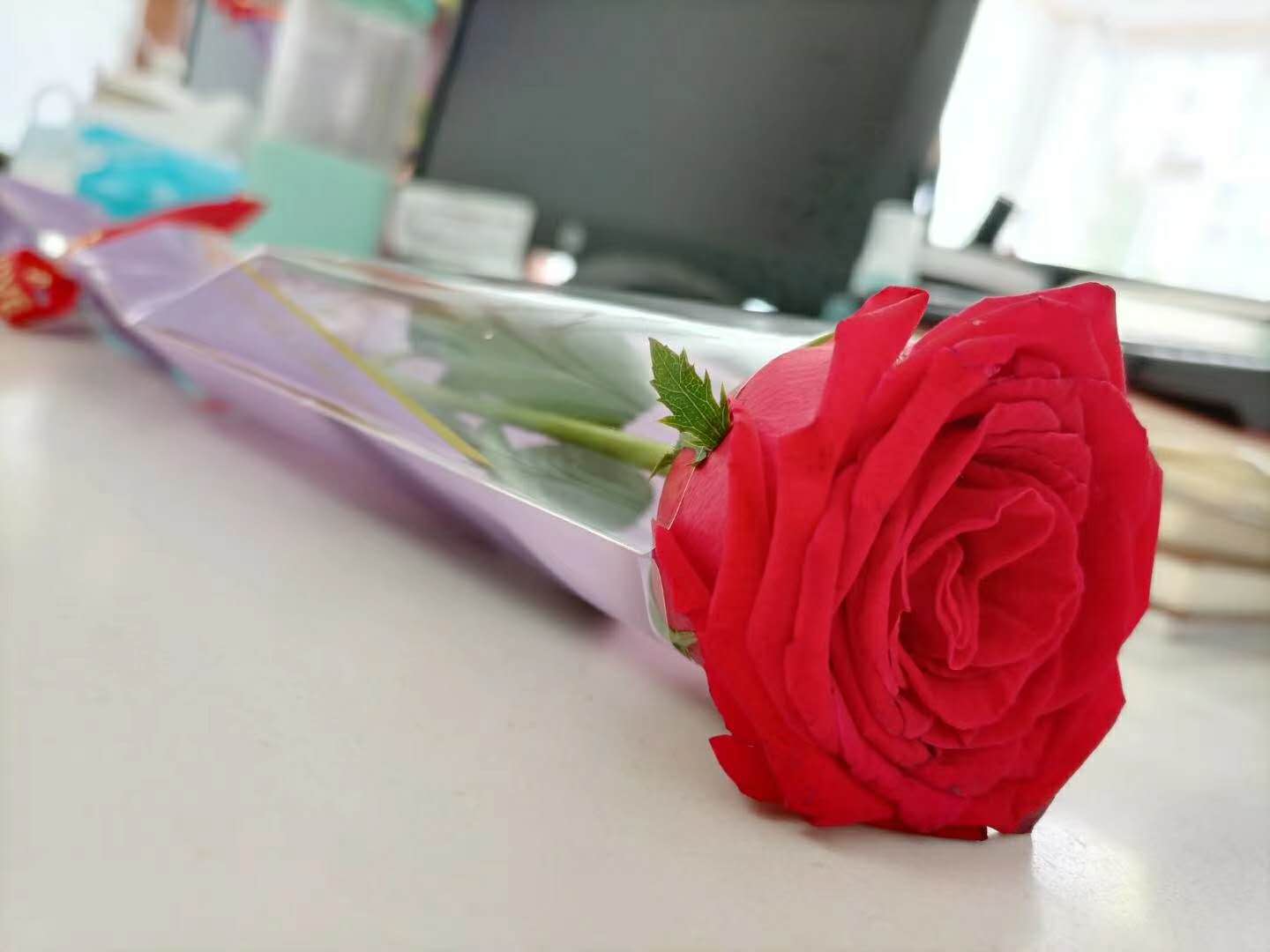 七夕情人節(jié)快樂