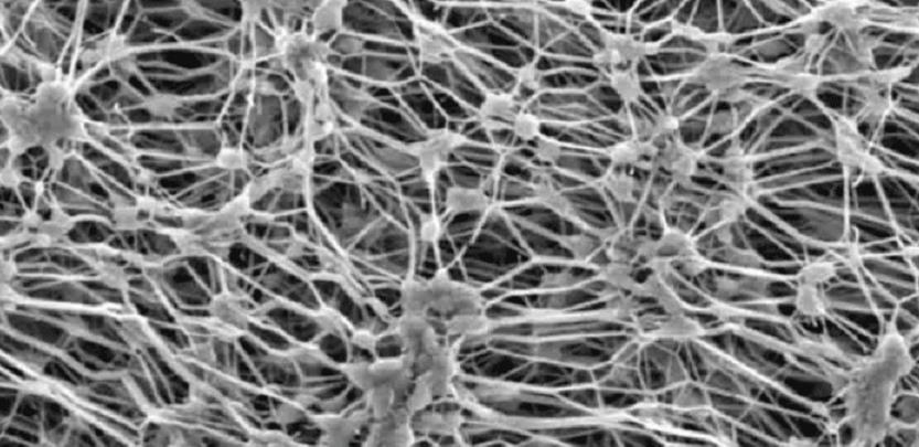 等離子清洗機(jī)