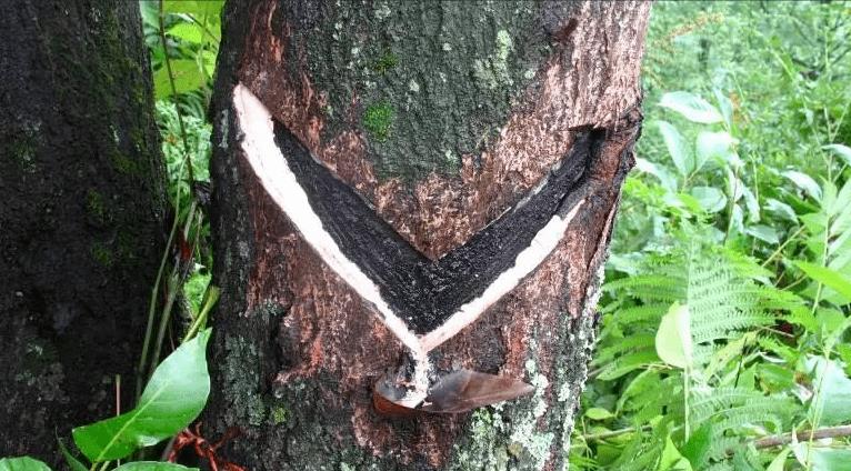 等離子清洗機(jī)