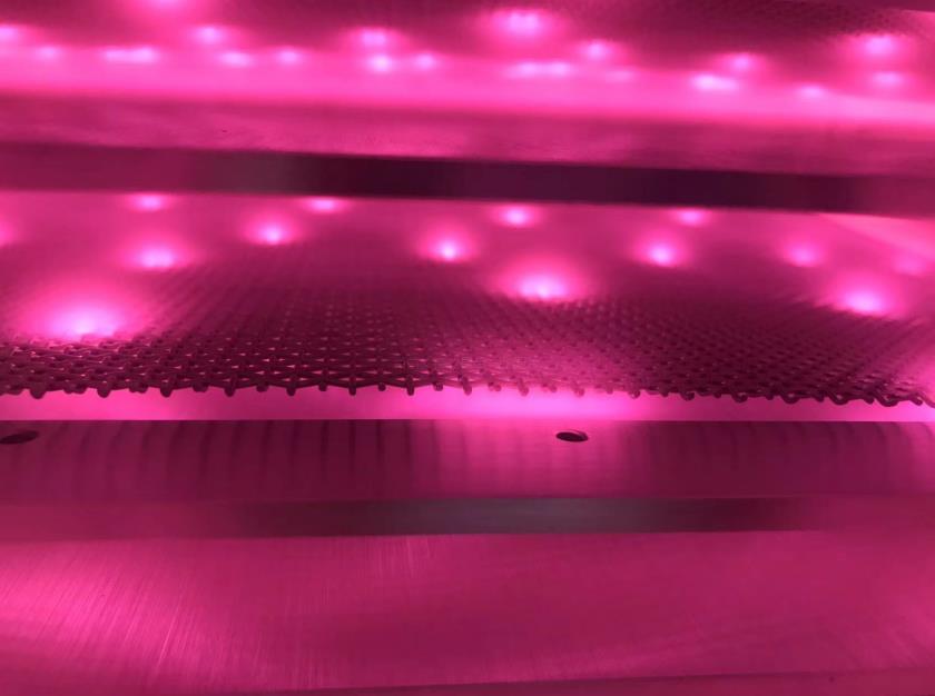 晶圓等離子清洗機