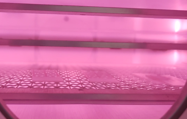 等離子表面處理機