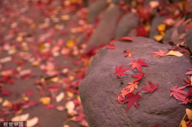 今日立冬，又一重要節(jié)氣-普樂斯等離子清洗機(jī)