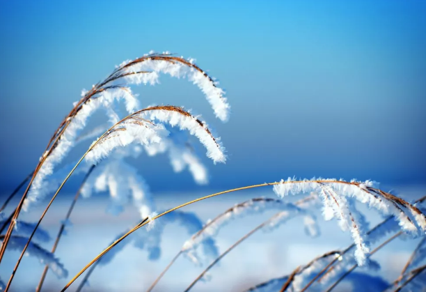 冬至悄然而至，這三招你知道嗎？-普樂(lè)斯等離子清洗機(jī)